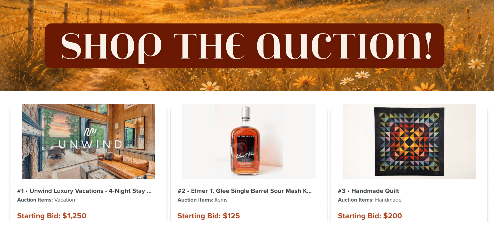 Shop the Auction.png